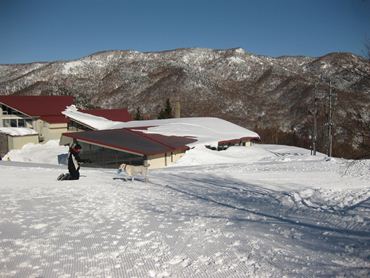 c0114121_21433213.jpg