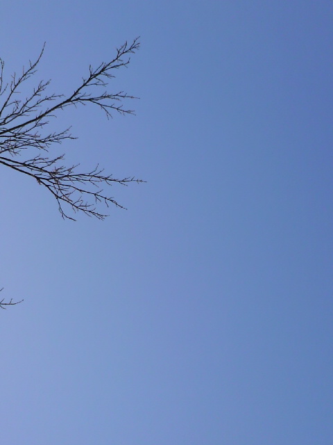 e0123322_22441828.jpg