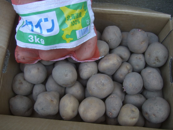 ソロソロジャガイモの準備開始...._b0137932_1850361.jpg