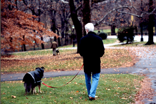 Dogs in Central Park_c0141133_2404235.jpg