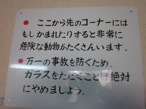 草津よいとこ一度はおいで♪　「熱帯圏」　カピバラさんにさわる編_f0032049_22281363.jpg