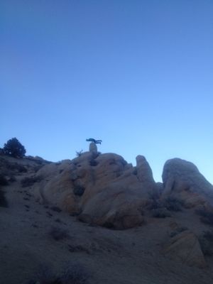BISHOP6_a0255552_5242994.jpg