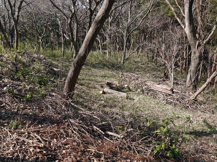 六国見山がさらにきれいに、岩瀬中３年生が恒例の手入れ_c0014967_9255048.jpg