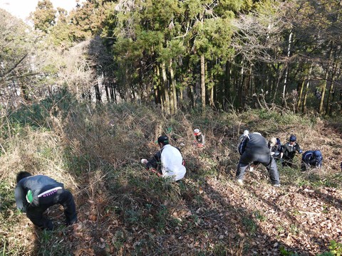 六国見山がさらにきれいに、岩瀬中３年生が恒例の手入れ_c0014967_927247.jpg