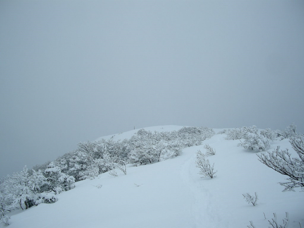 No196  寒波、那岐山も大雪_b0185573_1016277.jpg