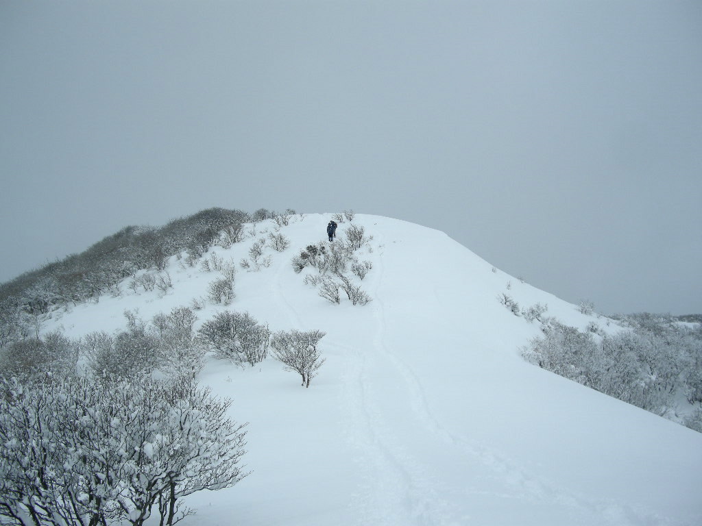 No196  寒波、那岐山も大雪_b0185573_14583983.jpg