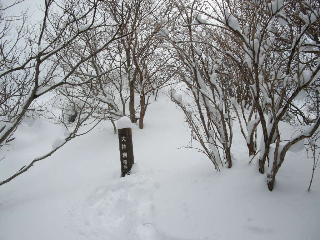 No196  寒波、那岐山も大雪_b0185573_96062.jpg