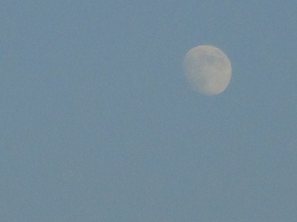 d0109373_97314.jpg