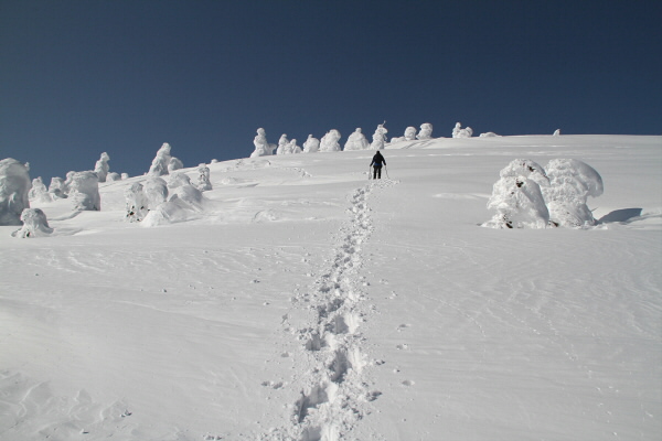 白銀の山_e0068873_2154898.jpg