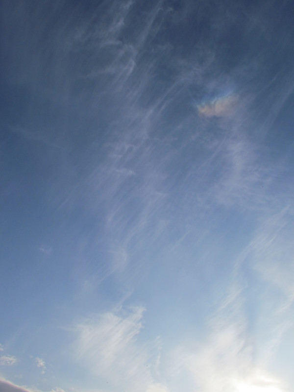 a0137279_042146.jpg