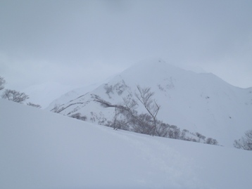 e0050579_2105318.jpg
