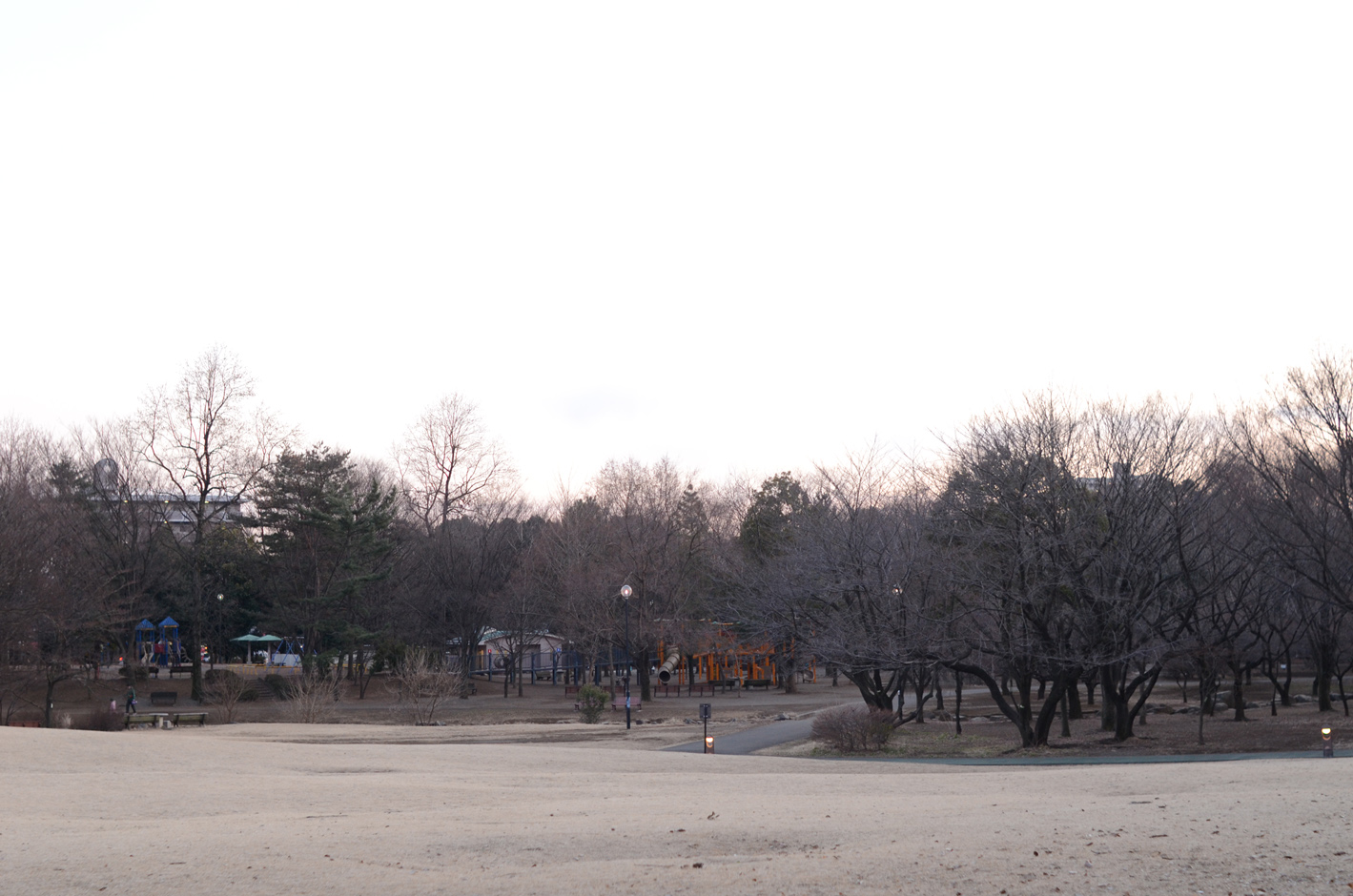 冬の公園_b0194880_23545773.jpg