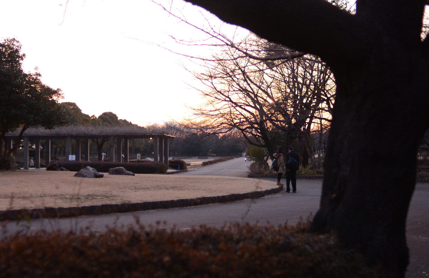 冬の公園_b0194880_23551317.jpg