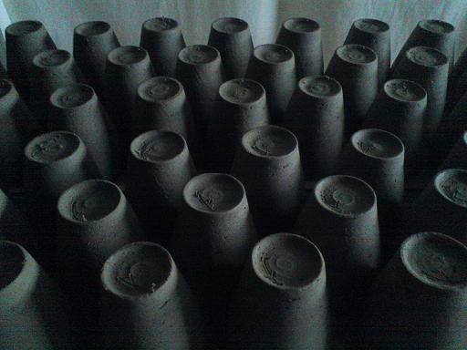 e0203580_174185.jpg