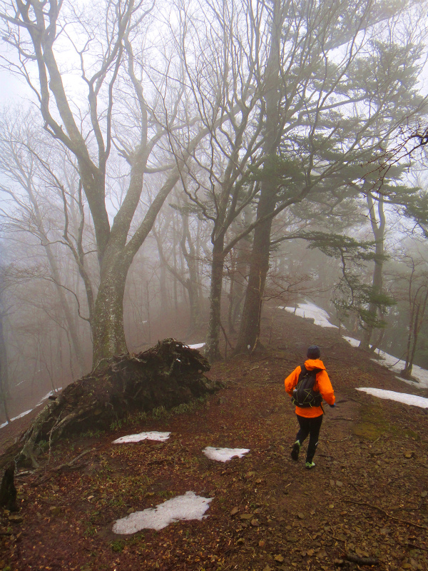 2012/02/14-17 South West 四国 Trip Day.2 三本杭_b0220886_1695172.jpg