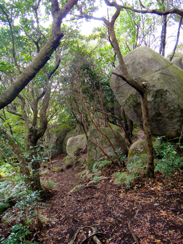 2012/02/14-17 South West 四国 Trip Day.3 白皇山ー足摺岬_b0220886_17492216.jpg