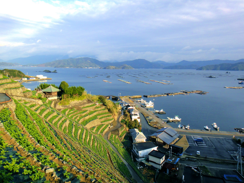 2012/02/14-17 South West 四国 Trip Day.2 遊子水荷浦の段畑_b0220886_1793493.jpg