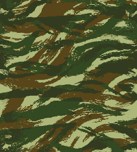 c0078587_194324.gif