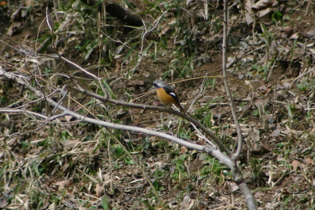e0070891_18474161.jpg