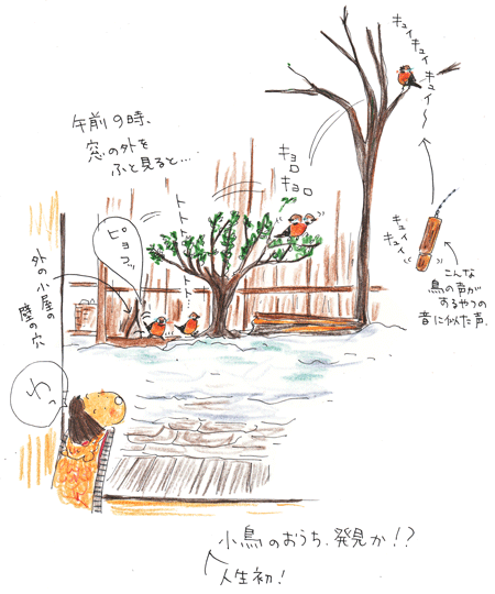 小鳥のおうち_f0236291_11565633.gif