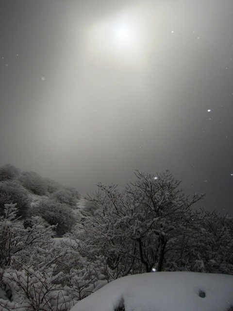 a0097006_18305163.jpg