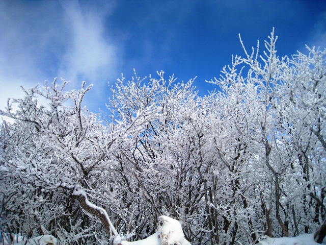 a0097006_18315347.jpg