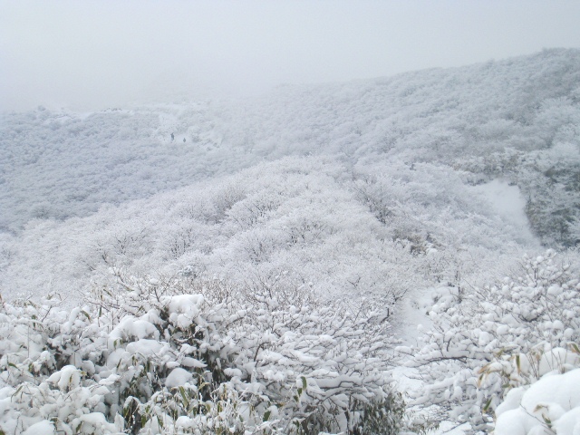 a0097006_18325926.jpg