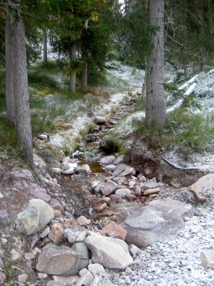 d0241813_21304841.jpg