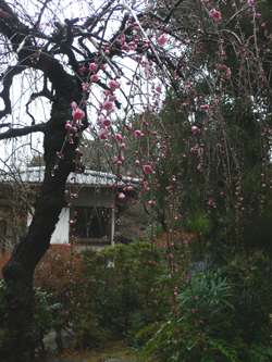 f0060424_13305750.jpg