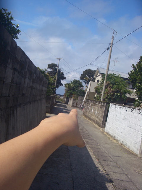 f0197325_20564890.jpg