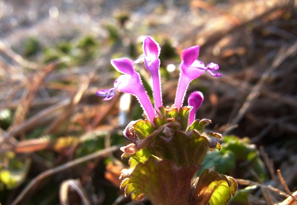 f0214527_21254270.jpg