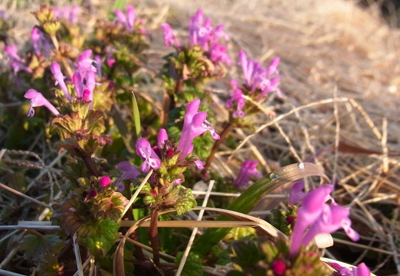 f0214527_2126583.jpg