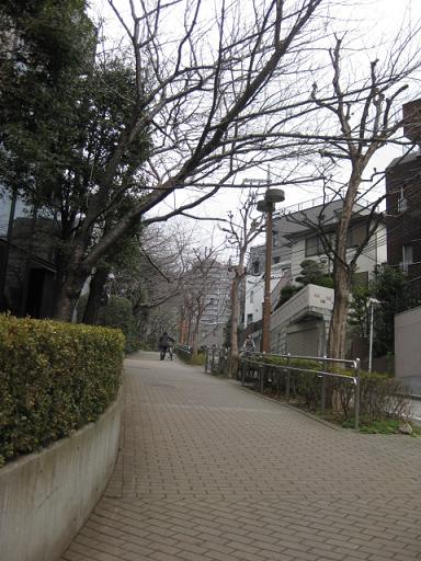 c0217931_13574515.jpg