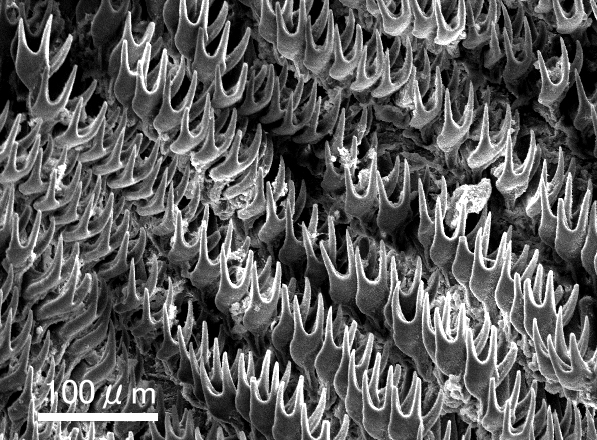 c0193735_22585218.jpg
