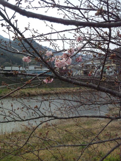 ネバーランド_d0011635_1303181.jpg