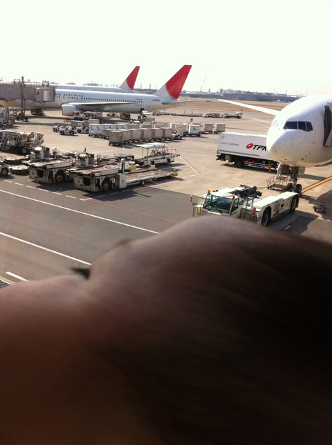 ついに “ベビヒコ” JALで飛んだよ♪（2012.2.10）_a0163838_22464399.jpg