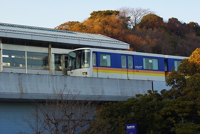 d0218238_1648571.jpg