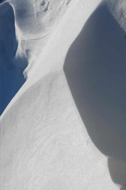 蔵王高原=雪紋=_b0177347_20223816.jpg