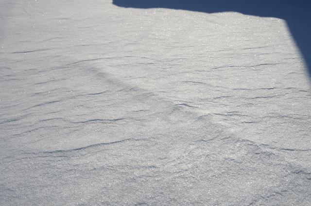 蔵王高原=雪紋=_b0177347_2025358.jpg
