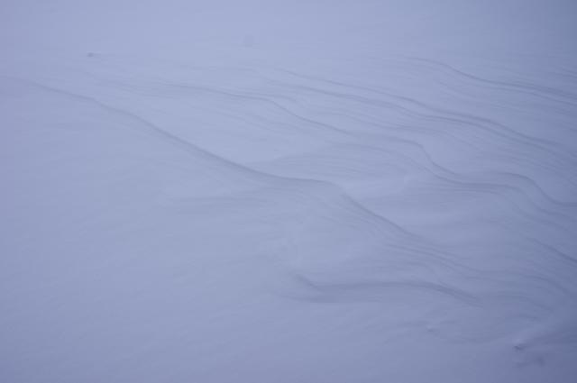 蔵王高原=雪紋=_b0177347_2092467.jpg