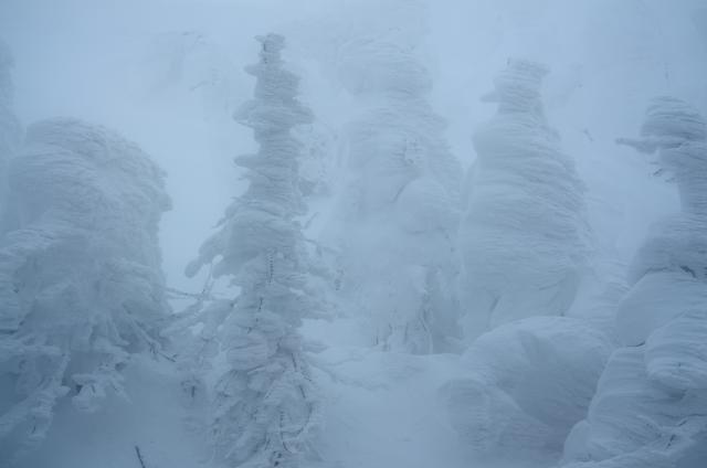 蔵王高原=2/21=山形蔵王_b0177347_21173454.jpg