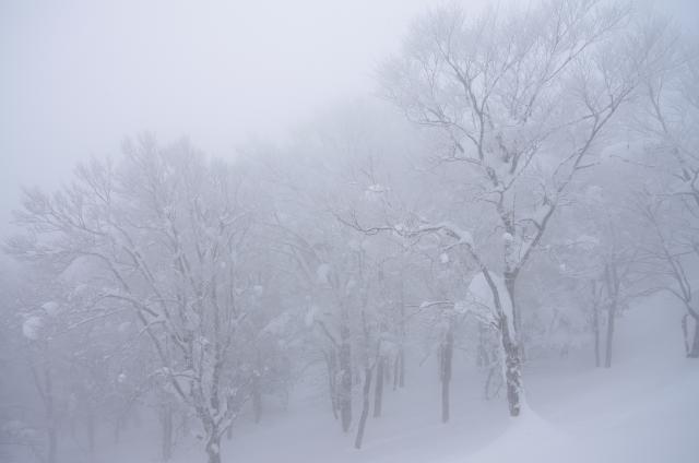 蔵王高原=2/21=山形蔵王_b0177347_2123942.jpg