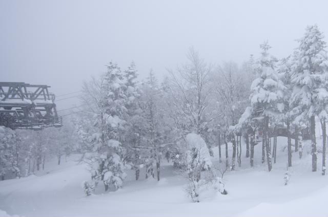 蔵王高原=2/21=山形蔵王_b0177347_21265282.jpg