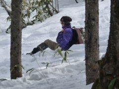 入笠山は春の光_f0019247_1249566.jpg