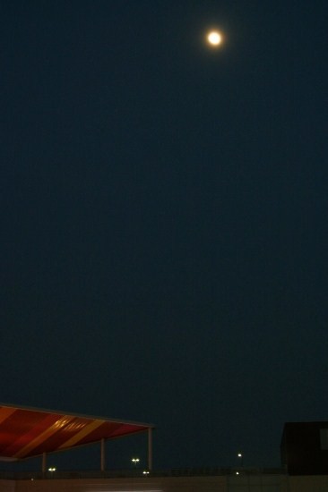 e0126350_15594973.jpg