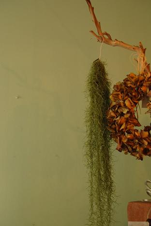 a0201358_23343574.jpg