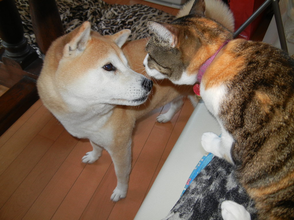 2012年2月23日(木)雨の日には何しているの?_f0060461_2050775.jpg