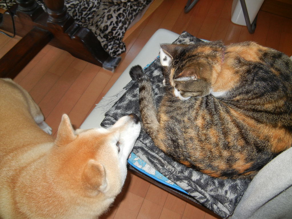 2012年2月23日(木)雨の日には何しているの?_f0060461_20511446.jpg
