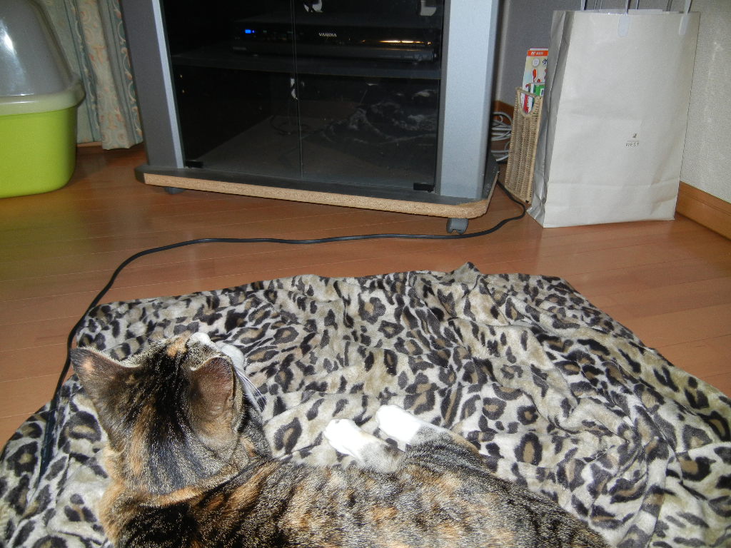 2012年2月23日(木)雨の日には何しているの?_f0060461_20562328.jpg