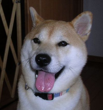 2012年2月23日(木)雨の日には何しているの?_f0060461_216634.jpg